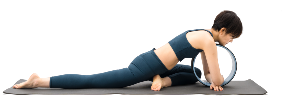 軽)半分の鳩_998